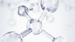 Imagen principal de la ficha