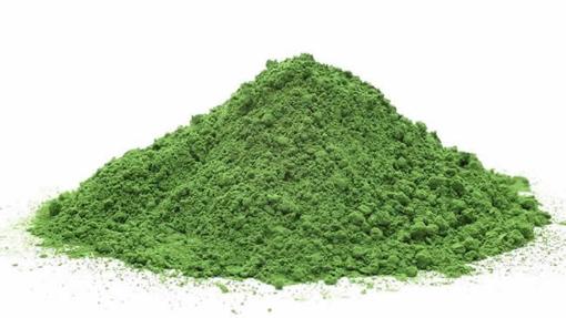La espirulina tiene un elevado poder nutricional.