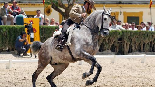 Madrid Horse Week 2018: Lo que no te puedes perder