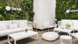 Imagen principal de la ficha