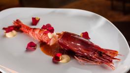 Imagen principal de la ficha