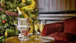 Imagen principal de la ficha