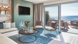 Imagen principal de la ficha