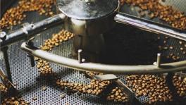 Imagen principal de la ficha