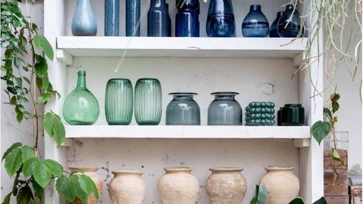 Cuidar las plantas resulta reconfortante para quien las posee