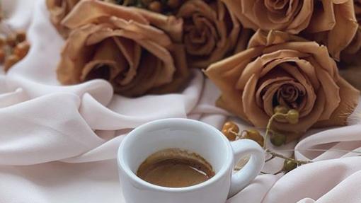 Es una variedad cálida y acogedora