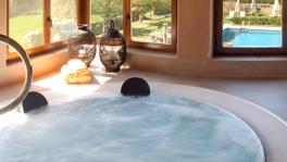 Imagen principal de la ficha