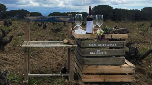 Viñedos de Las Moradas de San Martín