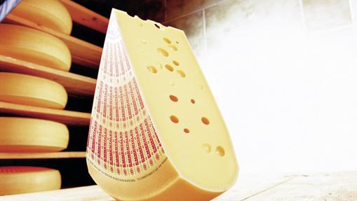 Cuña de queso Emmentaler