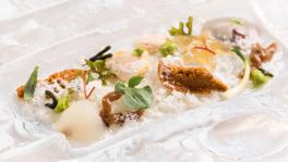 Imagen principal de la ficha