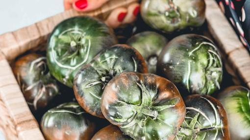 Los tomates de Maldonado 14