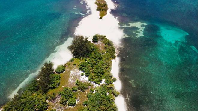 La vegetación es muy variada
