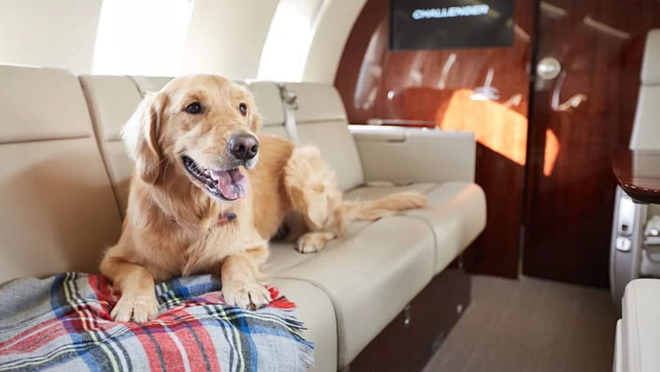 Cada vez son más las compañías que ofrecen este servicio en Hong Kong y EE.UU. ante el aumento de la demanda