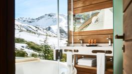 Imagen principal de la ficha