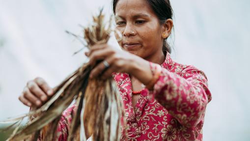 Imagen en Nepal de los procesos de creación de Hemper