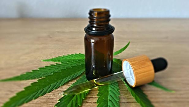 ¿Deberías incorporar a tu rutina la cosmética con cannabis?