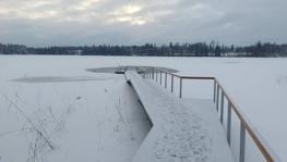 Imagen principal de la ficha