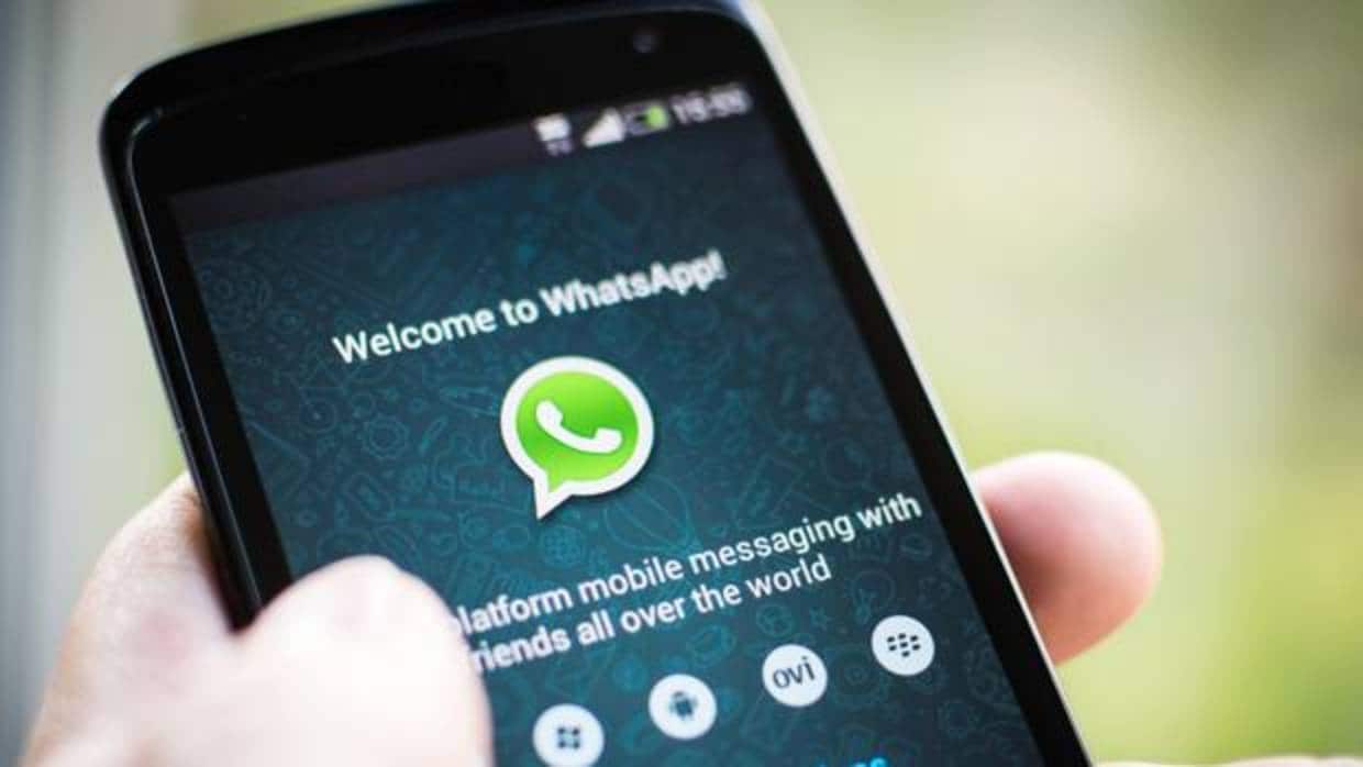 Ya puedes comunicarte con las empresas directamente por WhatsApp