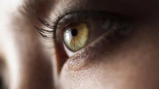 Inteligencia Artificial para curar problemas oculares