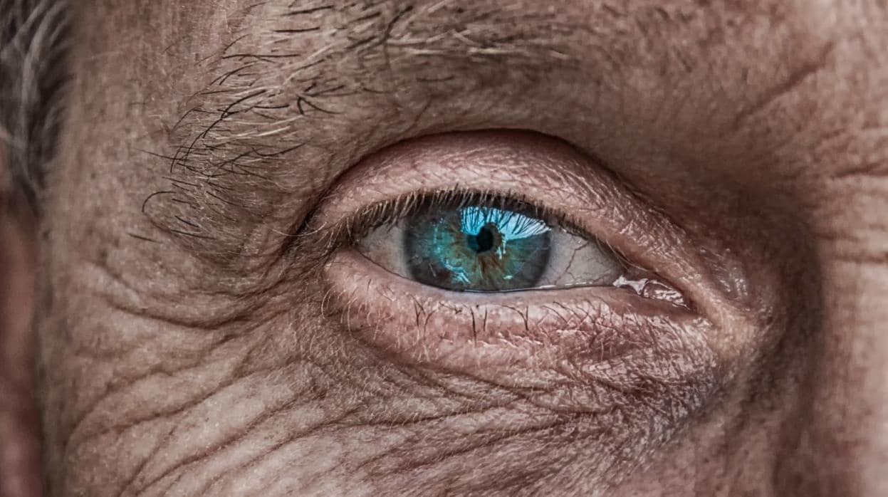 Así es el ojo biónico que puede devolver la vista a los invidentes