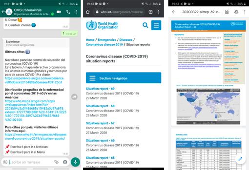 Cómo consultar la información oficial de la OMS sobre el coronavirus por WhatsApp