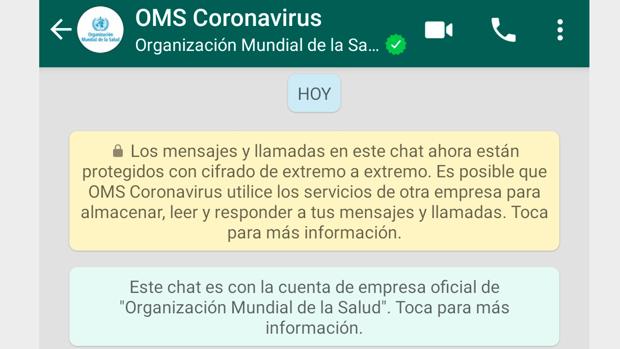 Cómo consultar la información oficial de la OMS sobre el coronavirus por WhatsApp