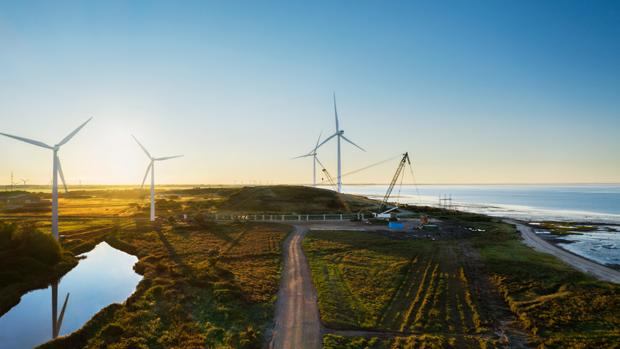 Las tecnológicas quieren ser verdes: pero esta vez de verdad