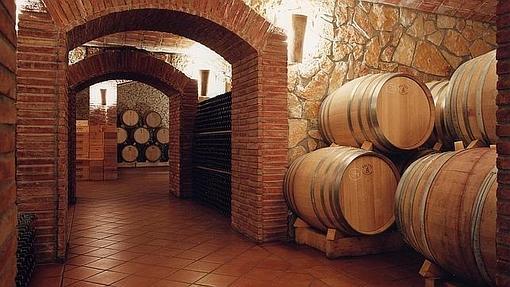 Bodega de Celler Piñol