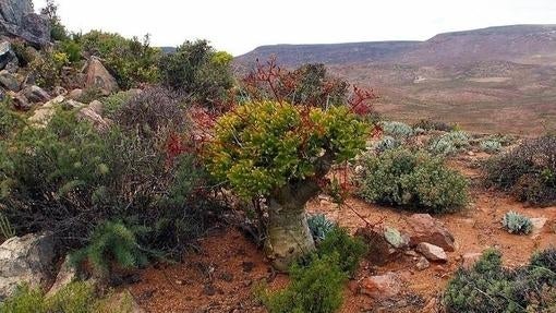 Diez maravillas naturales que parecen de otro planeta