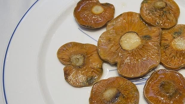 Las diez mejores setas del otoño en España