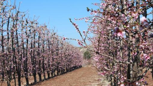 Diez paisajes mágicos de España que brillan en primavera