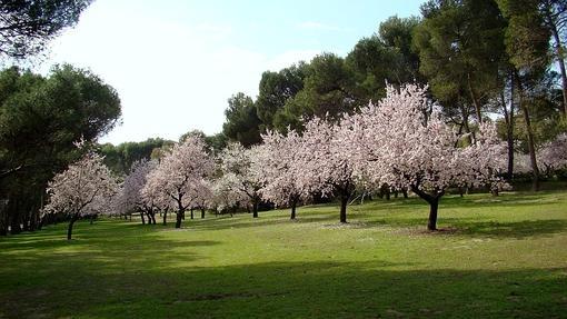 Diez paisajes mágicos de España que brillan en primavera