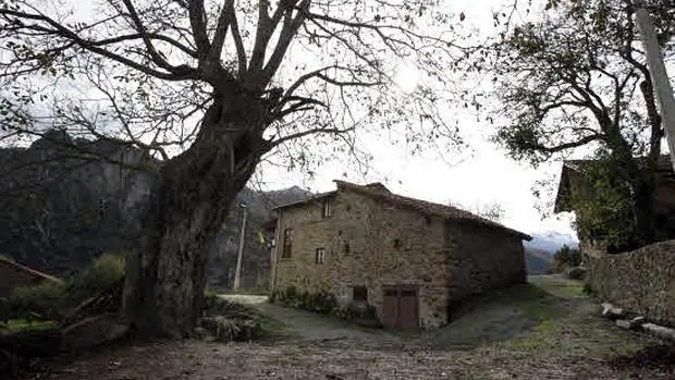 Un rincón de Mogrovejo, en Cantabria