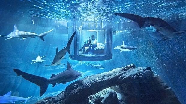 Habitación instalada en el tanque de agua de los tiburones del acuario de París