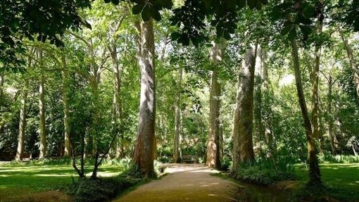 Los ilustres visitantes del Monasterio de Piedra