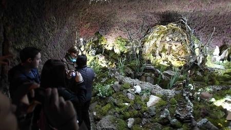 Las fiestas de «Cruces y Mayos» de Piedrabuena se ha convertido en una de las tradiciones más singulares del patrimonio etnográfico de Castilla-La Mancha