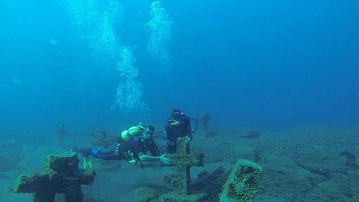 Maravillas que hacen de La Palma «la isla bonita»