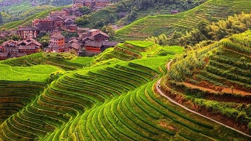 La belleza de los «campos colgantes»