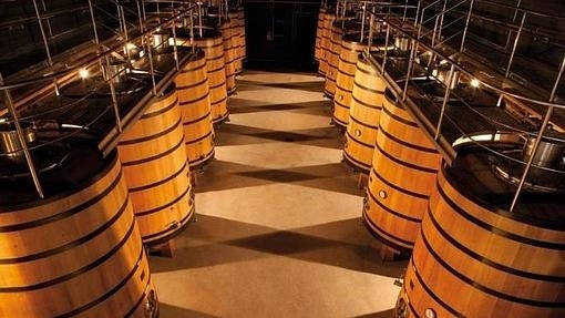 Diez de las mejores bodegas de La Rioja para un gran día de enoturismo