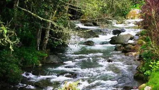 Río Savegre, en San Gerardo de Dota