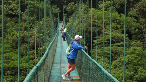 Puentes colgantes en el bosque de Monteverde