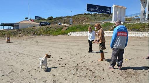 Playa del Castillo de Sohail, la playa dog-friendly para el verano