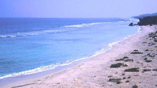 Vista de una playa de tortugas en Mukawwar Island