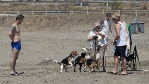 Dueños de perros, en la playa canina abierta junto al Arroyo Totalán
