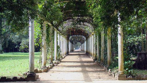 Jardín Botánico de Río