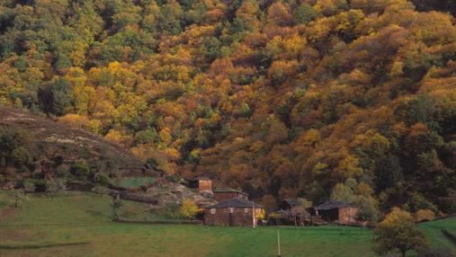 Colores de otoño en Santa Eulalia de Oscos