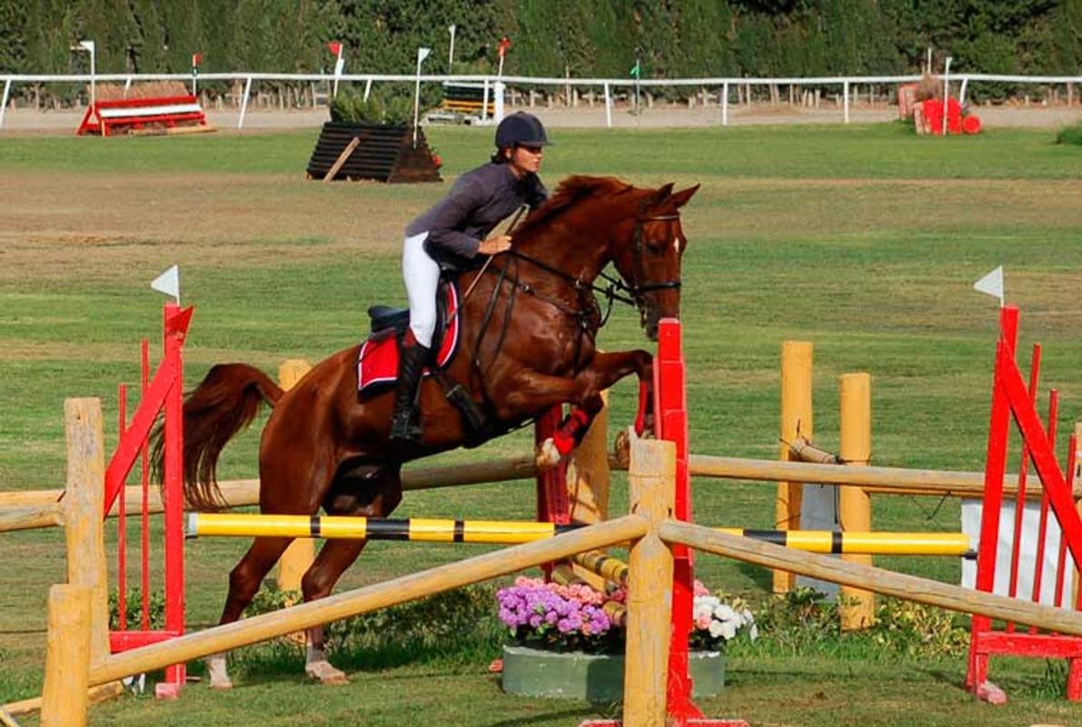 Imagen de la anterior edición de la Gran Semana del Caballo de Sevilla. Fuente: angloarabegransemana.es