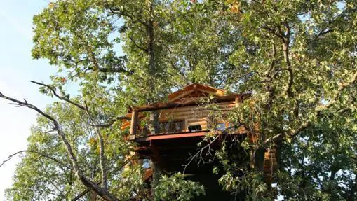 Las diez mejores cabañas en árboles de España