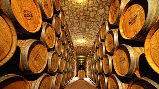 Diez bodegas imprescindibles para ver la vendimia