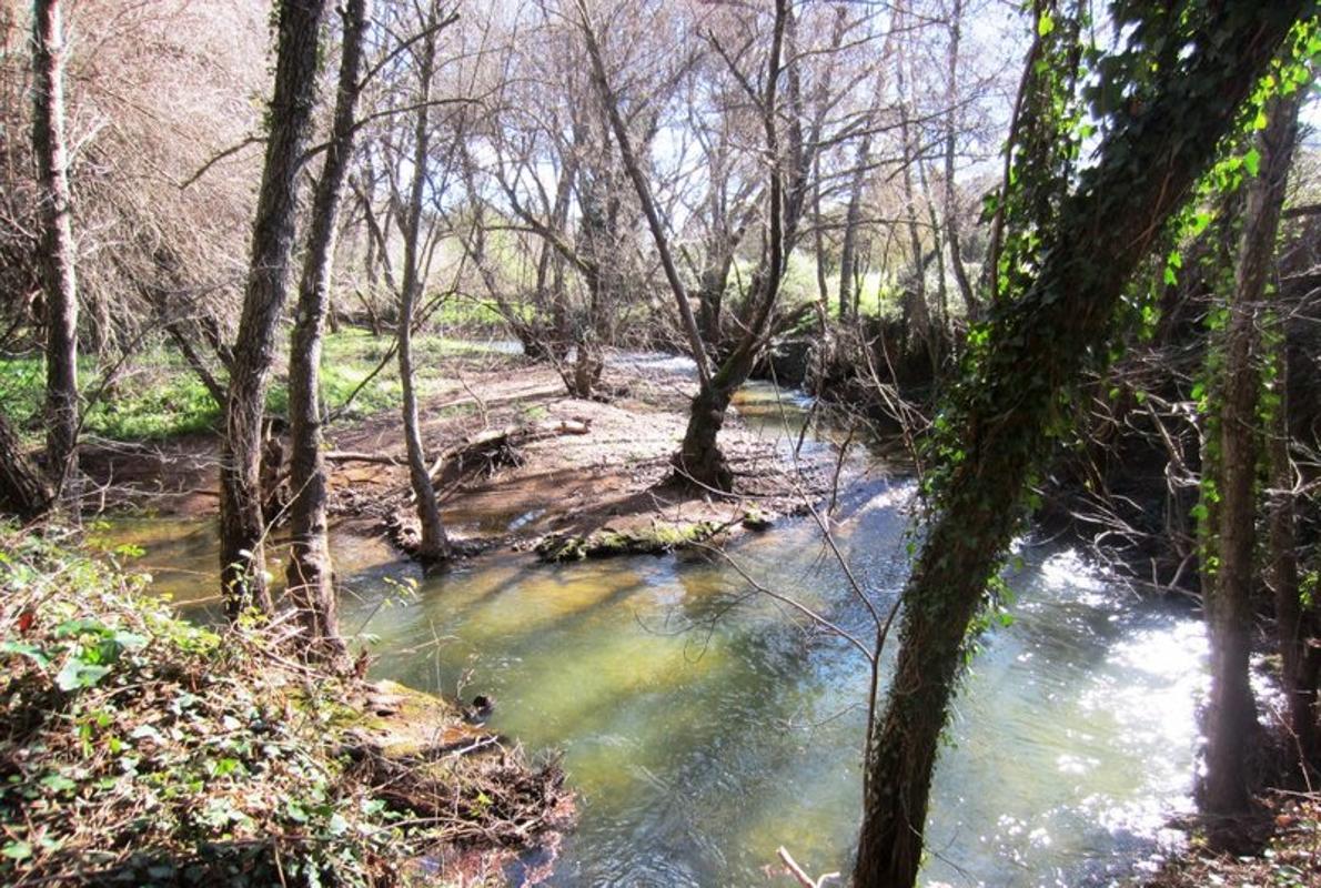 Disfruta de los bosques de otoño en Sevilla